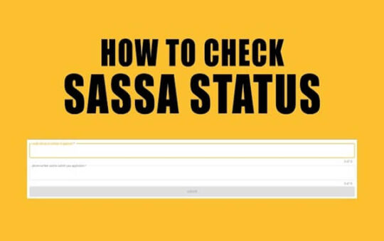 SASSA Status Check SRD Status Check